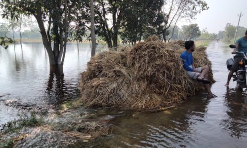 बाढ़ का पानी गांवो में घुस जाने से बाढ़ पीड़ितों को बड़ी दिक्कतों का  करना पड़ रहा है सामना