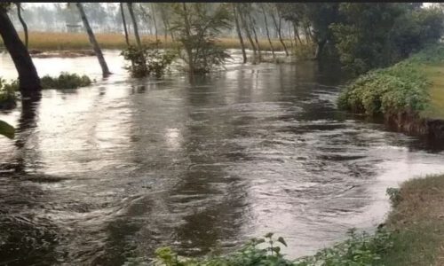 बाढ़ ग्रस्त क्षेत्रो मे जल स्तर कम होने पर भी मुसीबते जस की तस