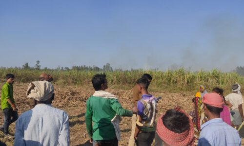 आग लगने से 50 बीघा गन्ना जलकर राख