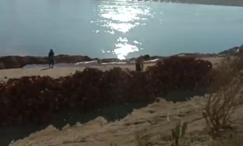 বড়খলার রহমান বস্তির রাস্তার পরিদর্শন করলেন প্রাক্তন বিধায়ক কিশোর নাথ