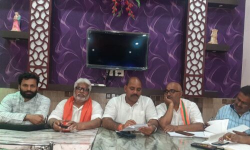 गया जी के इतिहास में पहली बार इतनी बड़ी शोभा यात्रा का हुआ आयोजन – क्षितिज मोहन सिंह ।