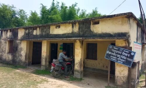 हसनगंज स्थित पुराना पशु चिकित्सालय का हाल बेहाल