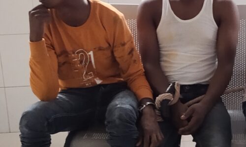 6 लीटर देशी शराब के साथ दो तस्कर गिरफ्तार भेजा जेल ।