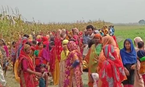 मकई के खेत में 11 वर्षीय बच्चे की लाश मिलने से क्षेत्र में फैली सनसनी पुलिस मौके पर पहुंची ।