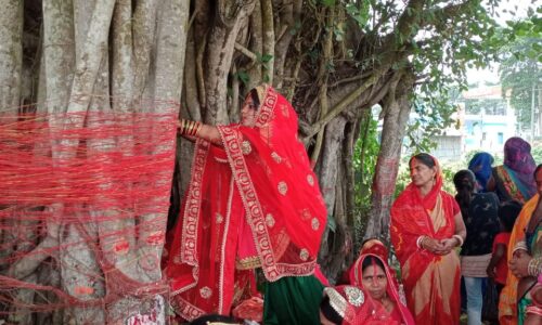 महिलाओं ने बट सावित्री का पर्व धूमधाम से मनाया