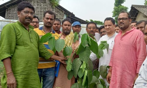 विश्व पर्यावरण दिवस के अवसर पर जदयू नेता एवं कार्यकर्ता किया वृक्षारोपण