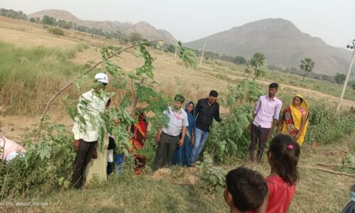 विश्व पर्यावरण दिवस पर कार्यक्रम सह पौधा रोपण का किया गया आयोजन