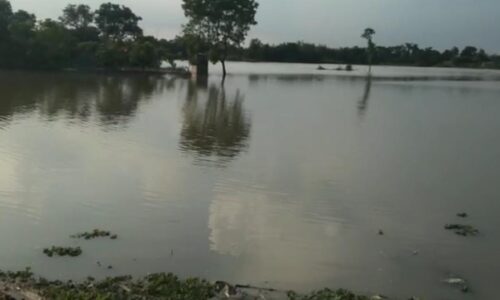 बलरामपुर प्रखण्ड क्षेत्र के पश्चिमी भाग में बाढ़ का कहर, कमरा पंचायत से दो बच्चे बाढ़ के पानी में बहा, अब तक लापता