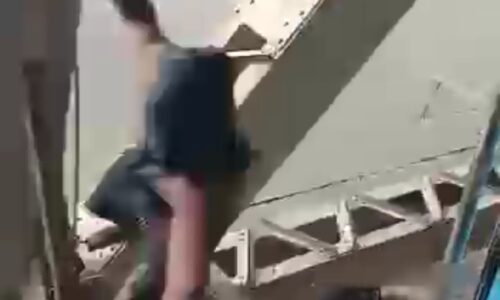 रेलवे सफर के दौरान रेल पुल पर चलती ट्रेन के यात्री से झपट मारकर मोबाइल छीना विडियो वायरल