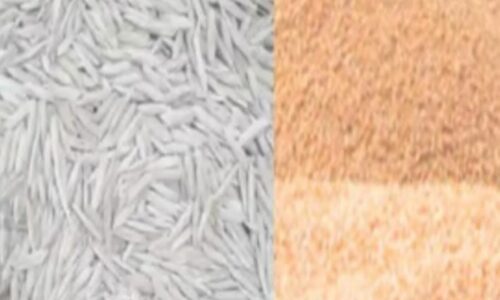 अब फ्री में नहीं मिलेगा राशन,दो रुपये किलो गेहूं और तीन रुपये-किलो की दर से मिलेगा चावल