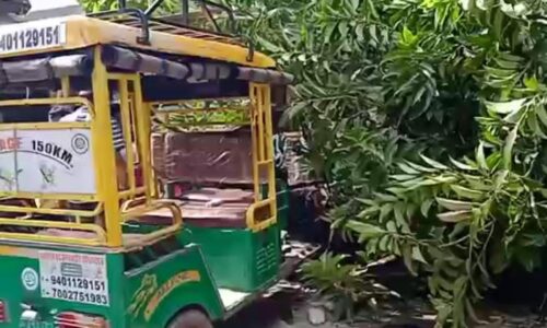 শিলচরে দিনদুপুরে সড়কের উপর ভেঙে পড়ল গাছ, বরাতজুরে রক্ষা ই-রিক্সার চালক এবং যাত্রীর