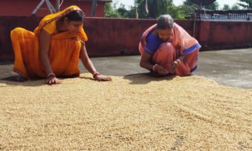 हसनगंज में चार दिवसीय छठ महापर्व नहाय खाय के साथ हुआ प्रारंभ ।