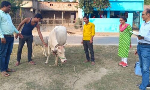 पशु स्वास्थ्य रक्षा पखवाड़ा तहत चल रहे पशु टीकाकरण कार्यक्रम का प्रमंडल पशुपालन पदाधिकारी ने लिया जायजा ।