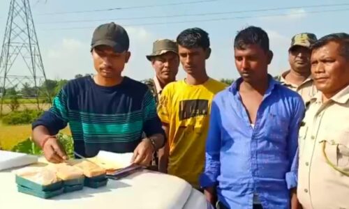 বঙাইগাঁৱৰ গেৰুকাবাৰীত ড্ৰাগছসহ গ্ৰেপ্তাৰ দুটা সৰবৰাহকাৰী।