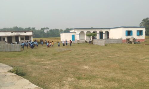 विद्यालय में बाउंड्री नहीं होने से विद्यालय बना चारागाह ।