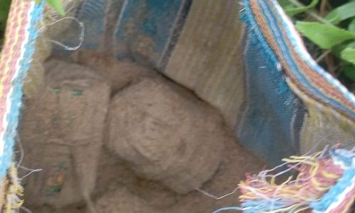 प्राणपुर थाना क्षेत्र में अर्ध निर्मित पटाका बम मिलने से दहशत