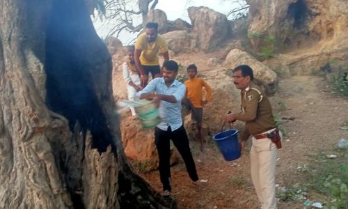 पीर मजार स्थित वृक्ष में लगी आग पुलिसकर्मियों ने आग बुझाकर बड़ी घटना होने से बचाया।