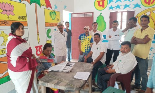 मनसाही बीडीओ ने योजनाओं की ली जानकारी ।