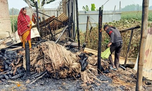 अग्निकांड में जुट सहित चार मवेशी आग में झुलसे।