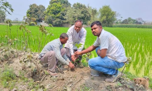 बिहार दिवस के मौके पर पौधारोपण कर पर्यावरण वचाव का दिया संदेश ।