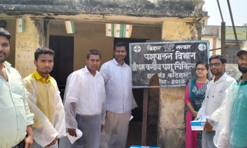 ब्रुसेलोसिस वैक्सीन के डोज से पशुओं को मिलेगी रक्षा ।