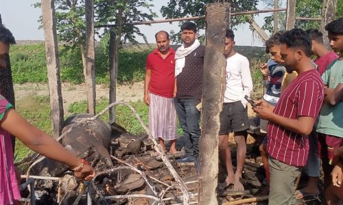 आग लगने से कई घर जलकर राख मवेशी भी जले।