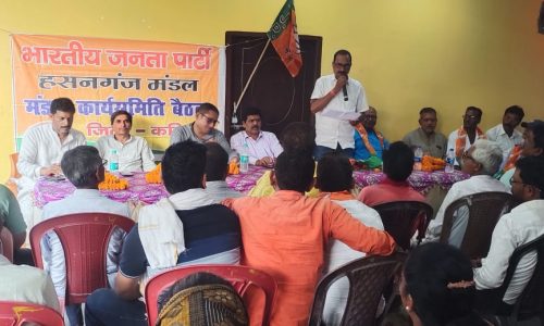 भाजपा मंडल कार्यसमिति की हुई बैठक संगठन की मजबूती पर प्रथमिकता