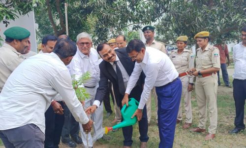 विश्व पर्यावरण दिवस पर व्यवहार न्यायालय परिसर में किया वृक्षारोपण