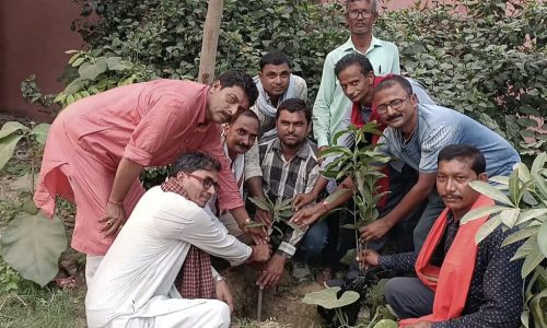 विश्व पर्यावरण दिवस पर भाजपा कार्यकर्ताओं ने किया पौधारोपण ।