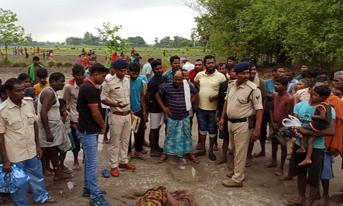 बांस के झारी में 40 वर्षीय महिला की शव बरामद पुलिस छानबीन में जुटी।