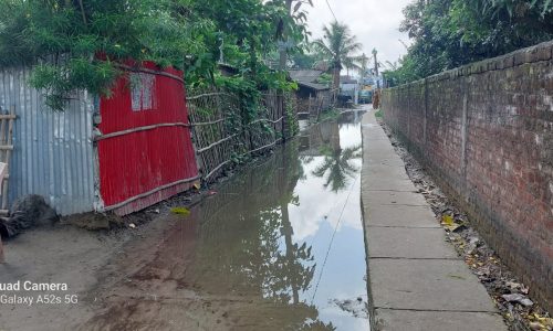 पानी निकासी को लेकर बना नाला लोगों के लिए बना सर दर्द।