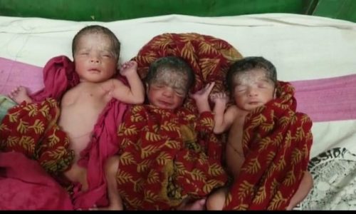 एक महिला ने जन्मे 3 बच्चे क्षेत्र में बना चर्चा का  विषय ।