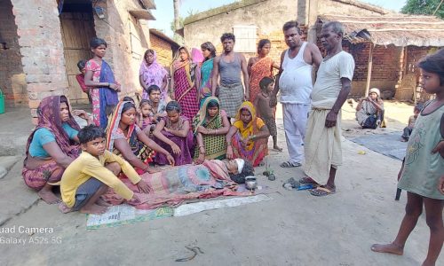 वाहन की टक्कर से वृद्ध  महिला की हुई मौत।