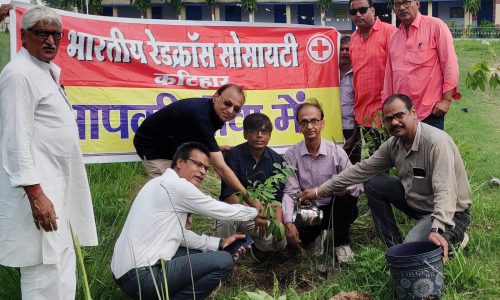 हरियाली तीज के अवसर पर किया पौधरोपण ।
