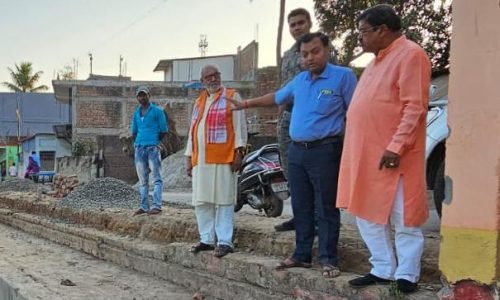 सालमारी छठ घाट का सौंदर्य करण कार्य का एमएलसी ने किया निरीक्षण
