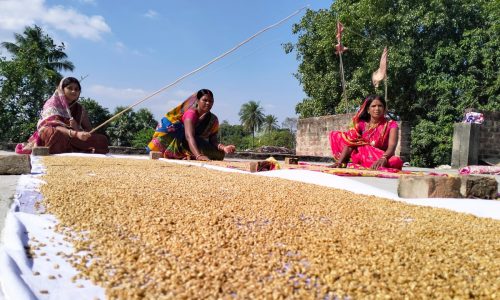 चार दिवसीय छठ पर्व की हुई शुरुआत व्रतियों ने की अनुष्ठान की तैयारी पूरी