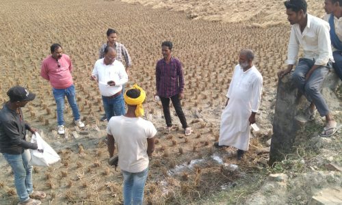 कालसर में वेस्ट प्रोसेसिंग यूनिट डब्लू पीओ सेंटर निर्माण कार्य हेतु मुखिया ने किया शुभारंभ