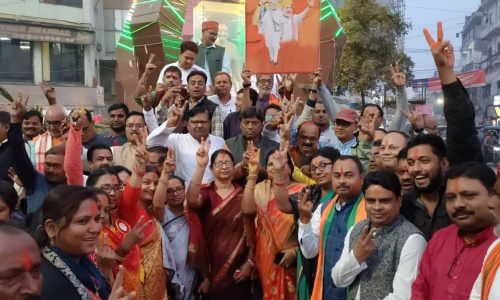 भाजपा कार्यकर्ताओं ने गुलाल मिठाई एवं आतिशबाजी कर जश्न मनाया