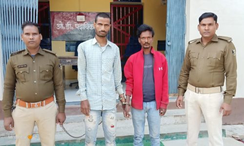 एक वारंटी तथा एक शराबी सहित दो लोगों को भेजा जेल।