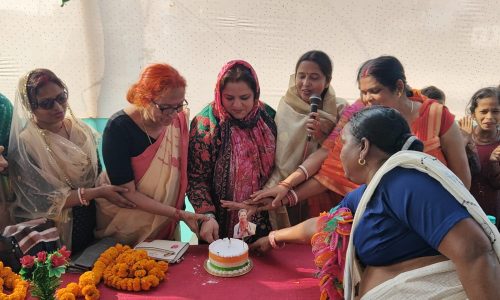 केक काटकर मनाया गया सोनिया गांधी का जन्मदिन महिला कांग्रेस कमेटी की मजबूती पर हुई चर्चा