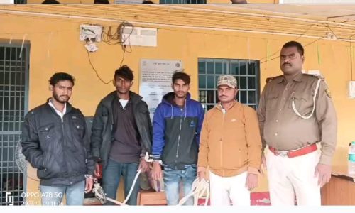 फतेह बाइकर चोर ग्रुप का सरगना चढ़ा प्राणपुर पुलिस के हत्थे