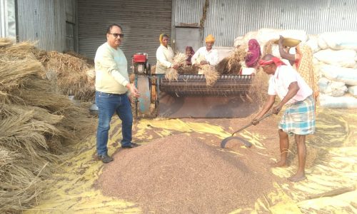 किसानों के लिए ‘सोना’ बना काला धान, बंपर उपज से किसान किसानों की बदलेगी तकदीर