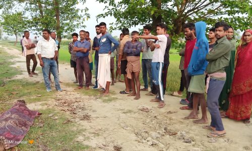 युवक का शव कदम के पेड़ पर फंदे से लटका मिला।