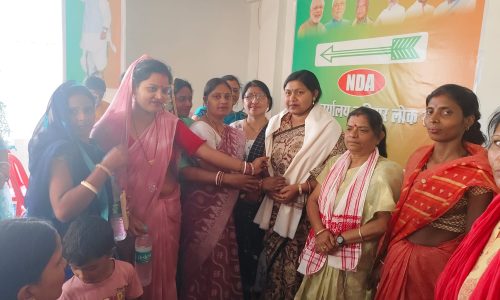 जदयू महिला प्रकोष्ठ की जिला कार्यकारिणी की बैठक आयोजित डोर-टू-डोर जनसंपर्क अभियान चला रही है:आशा सुमन