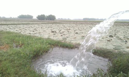 भीषण गर्मी ने किया बेहाल लोगों का जीना हुआ मुहाल, किसानों की चिंता बड़ी सूखने लगीं है मखाना फसल पटवन जारी ।