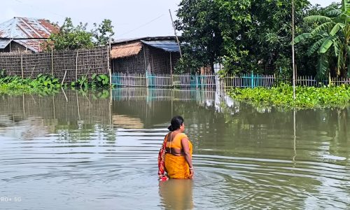 तटबंध के अंदर कई घरों में बाढ़ का पानी  किया प्रवेश।