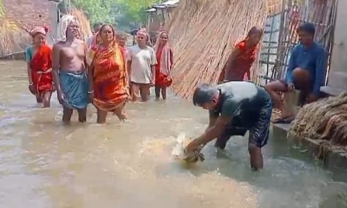 बाढ़ से जूझ रहे अमदाबाद नगर पंचायत के वार्ड, प्रशासन की सुस्ती पर उठे सवाल