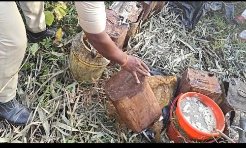 मनिहारी पुलिस का अवैध शराब के खिलाफ बड़ी कार्रवाई, 1000 लीटर जावा/गुड़ नष्ट