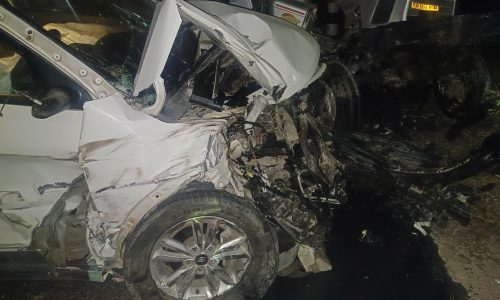 सड़कों पर घूम रहे आवारा कुत्ते कि वजह से वाहन पलटा चालक जख्मी।
