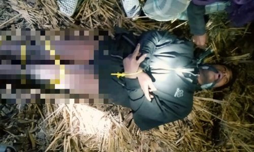 बाजिदपुर में पैसे लेनदेन के विवाद में एक युवक को हाथ पैर बांधकर अर्धनग्न अवस्था फैंका।